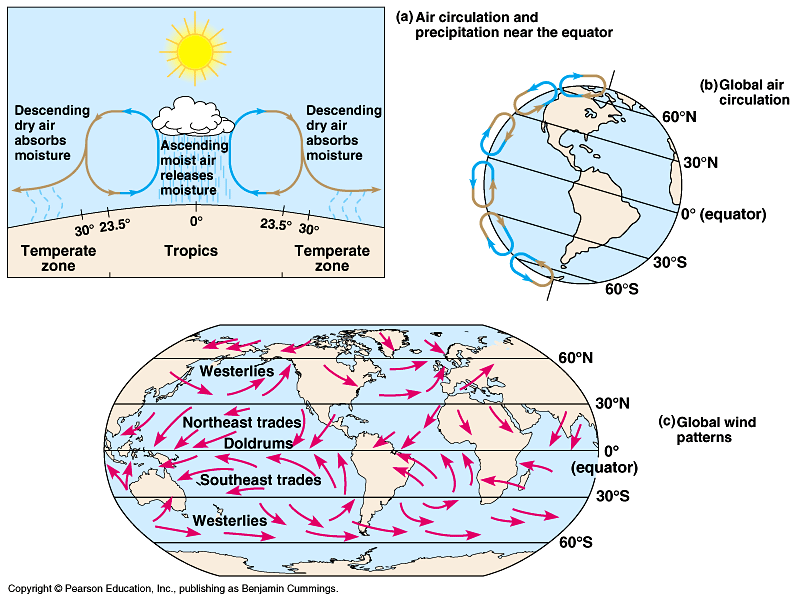 50-13-GlobalCircPrecip-L.gif